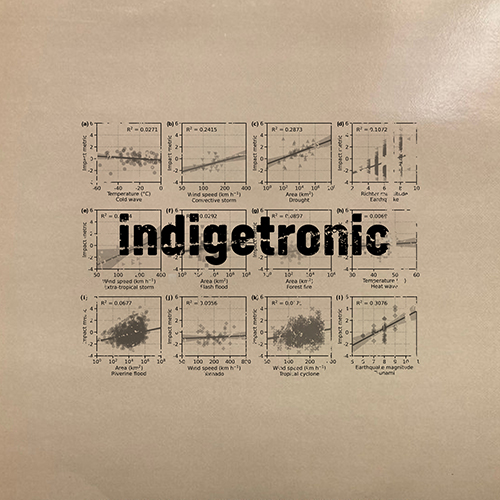INDIGETRONIC